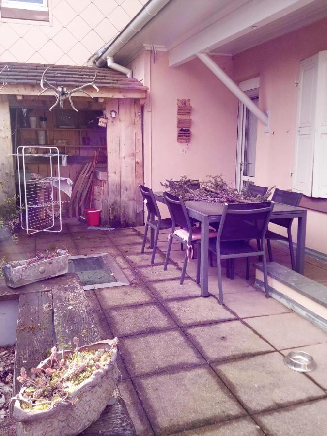 מונסטר Spacieux Appartement Dans Le Centre De Munster מראה חיצוני תמונה