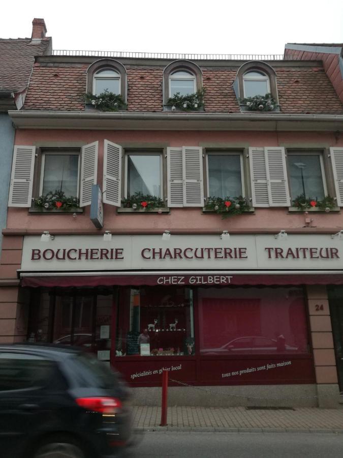 מונסטר Spacieux Appartement Dans Le Centre De Munster מראה חיצוני תמונה